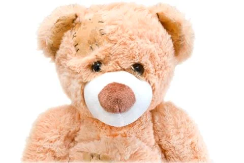 Teddy bear Stock Photos