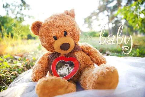 Teddy bear Stock Photos