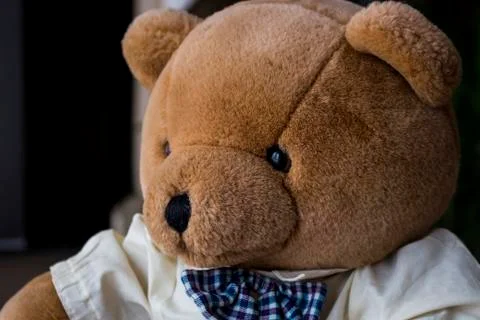 The teddy bear Stock Photos