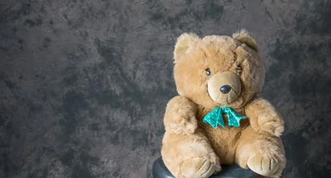 Teddy Bear Stock Photos