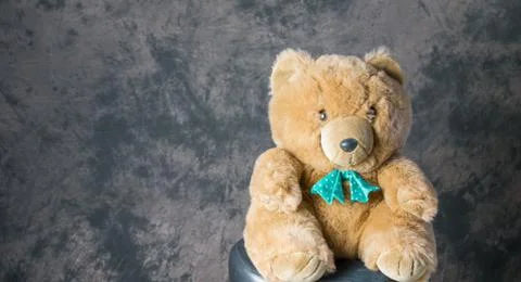 Teddy Bear Stock Photos