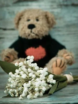 Teddy Bear Stock Photos