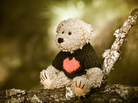Teddy Bear Stockfoto's