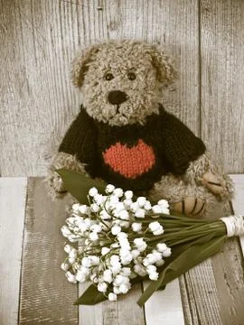 Teddy Bear Stockfoto's