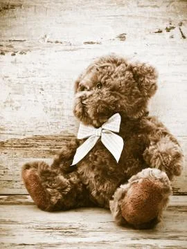 Teddy Bear Stock Photos
