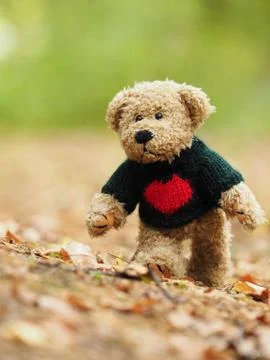 Teddy Bear Stock Photos