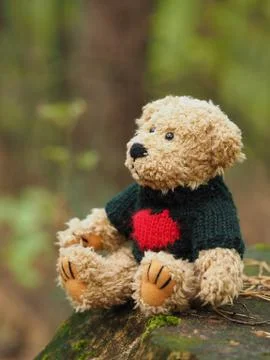Teddy Bear Stock Photos