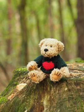 Teddy Bear Stock Photos