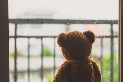 Teddy bear Stock Photos