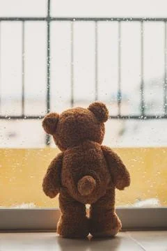 Teddy bear Stock Photos