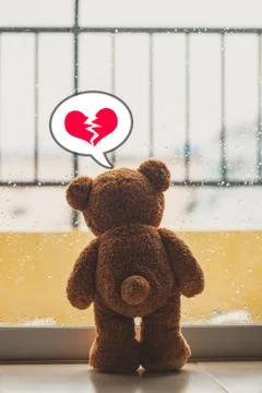 Teddy bear Stock Photos