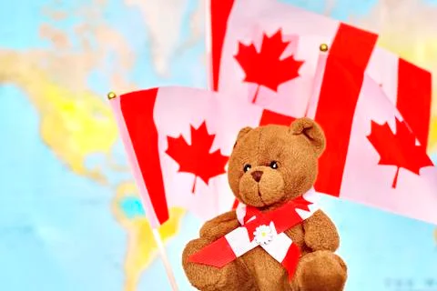 Teddy bear Stock Photos