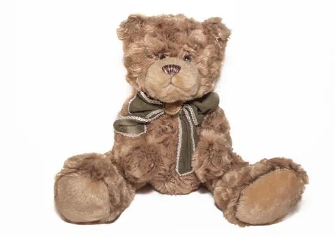 Teddy bear 写真素材