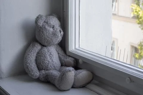 Teddy bear Stock Photos