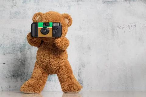 Teddy bear Stock Photos