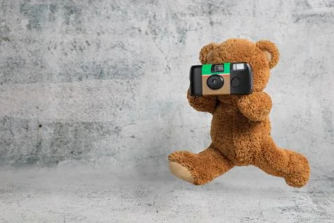 Teddy bear Stock Photos
