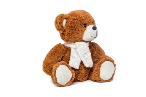 Teddy Bear Stock Photos