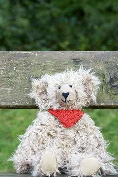 Teddy bear Stock Photos