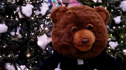 Teddy bear Stock Photos