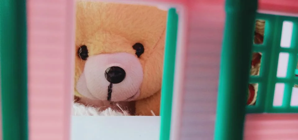 Teddy bear Foto stock