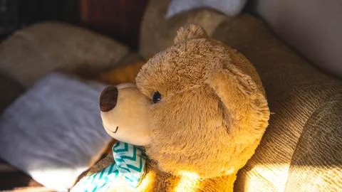 Teddy bear Stock Photos