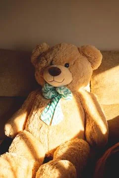 Teddy bear Stock Photos