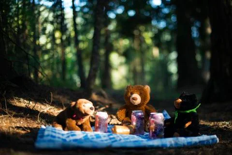 Teddy bear picnic Stock Photos
