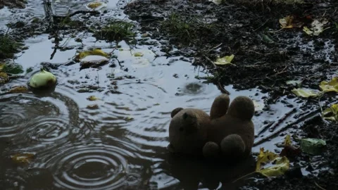 Teddy bear in the rain Stock Footage 163089130