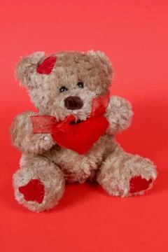Teddy bear on red background Stock Photos