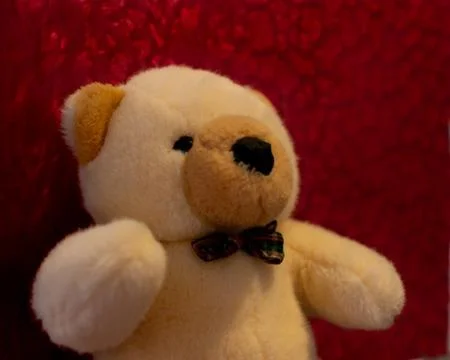 Teddy bear in red background Stock Photos