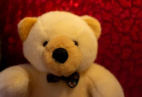 Teddy bear in red background Stock Photos
