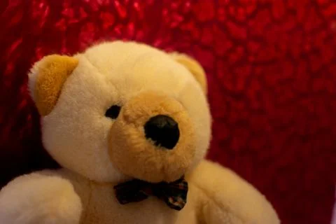 Teddy bear in red background Stock Photos