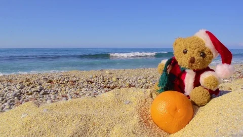 Teddy bear in santa hat with orange on sea beach Stock Footage 118440819