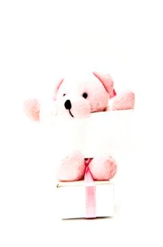 Teddy bear with sign Stock Photos
