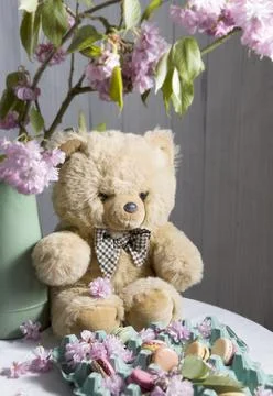 Teddy bear sits on the table against the background of sakura and easter cookies Stock Photos