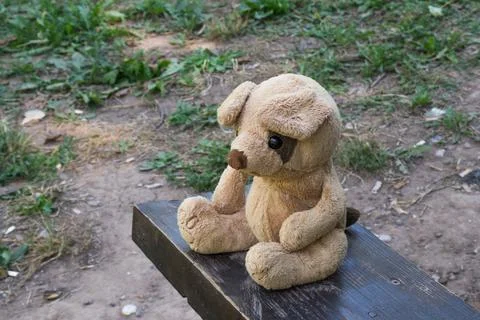 Teddy bear sitting alone on the bench in the park Foto stock