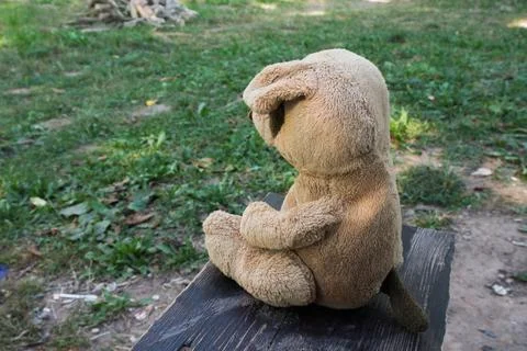 Teddy bear sitting alone on the bench in the park, looking at the distance Foto stock