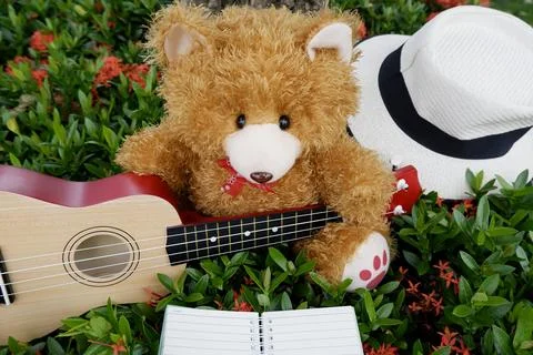  teddy bear sitting and playing music  Stock Photos