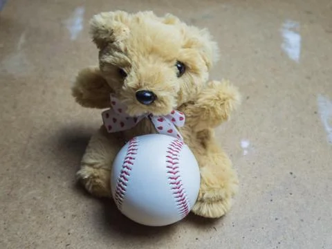 Teddy bear sitting with a baseball ball Stock Photos