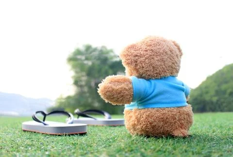 Teddy bear sitting on the grass . Concept about love and waiting for someone. Stock-Fotos