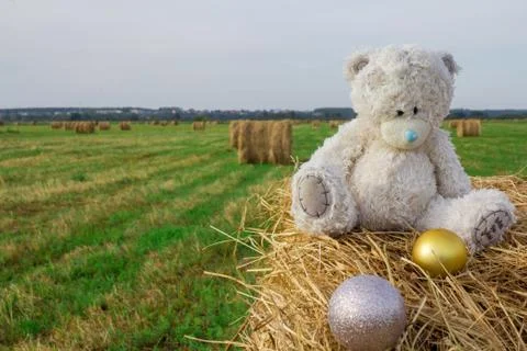 Teddy bear sitting on the haystack Stock Photos
