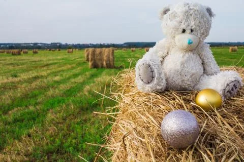 Teddy bear sitting on the haystack Stock Photos