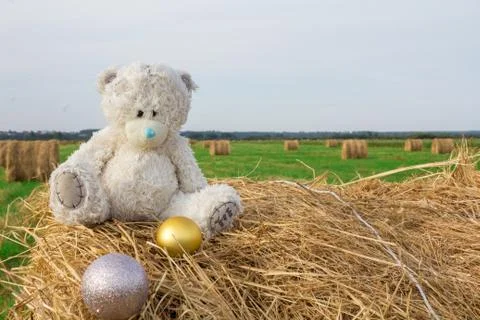 Teddy bear sitting on the haystack Stock Photos