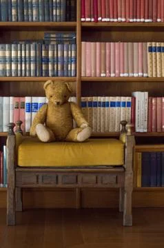 Teddy bear sitting in the library - nice fantasy scene Stock Photos