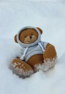 Teddy bear in the snow Stock Photos