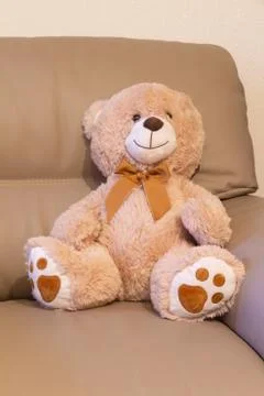 Teddy bear on a sofa Stock Photos