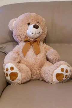 Teddy bear on a sofa Stock Photos