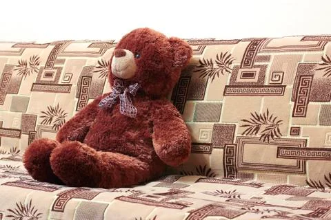 Teddy bear on sofa Stock Photos