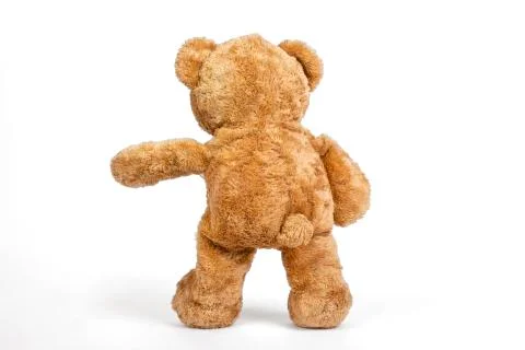 Teddy bear stopped on white background. Stock-Fotos