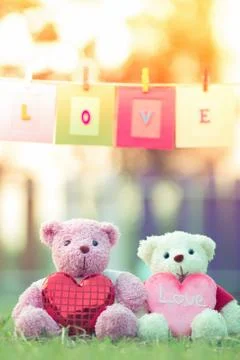 Teddy bear with sunset Stock Photos